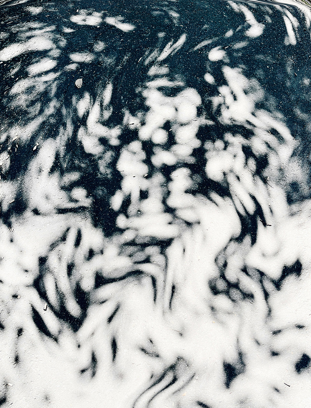 ギャラリーの写真作品