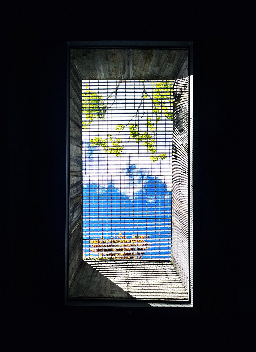 ギャラリーの写真作品